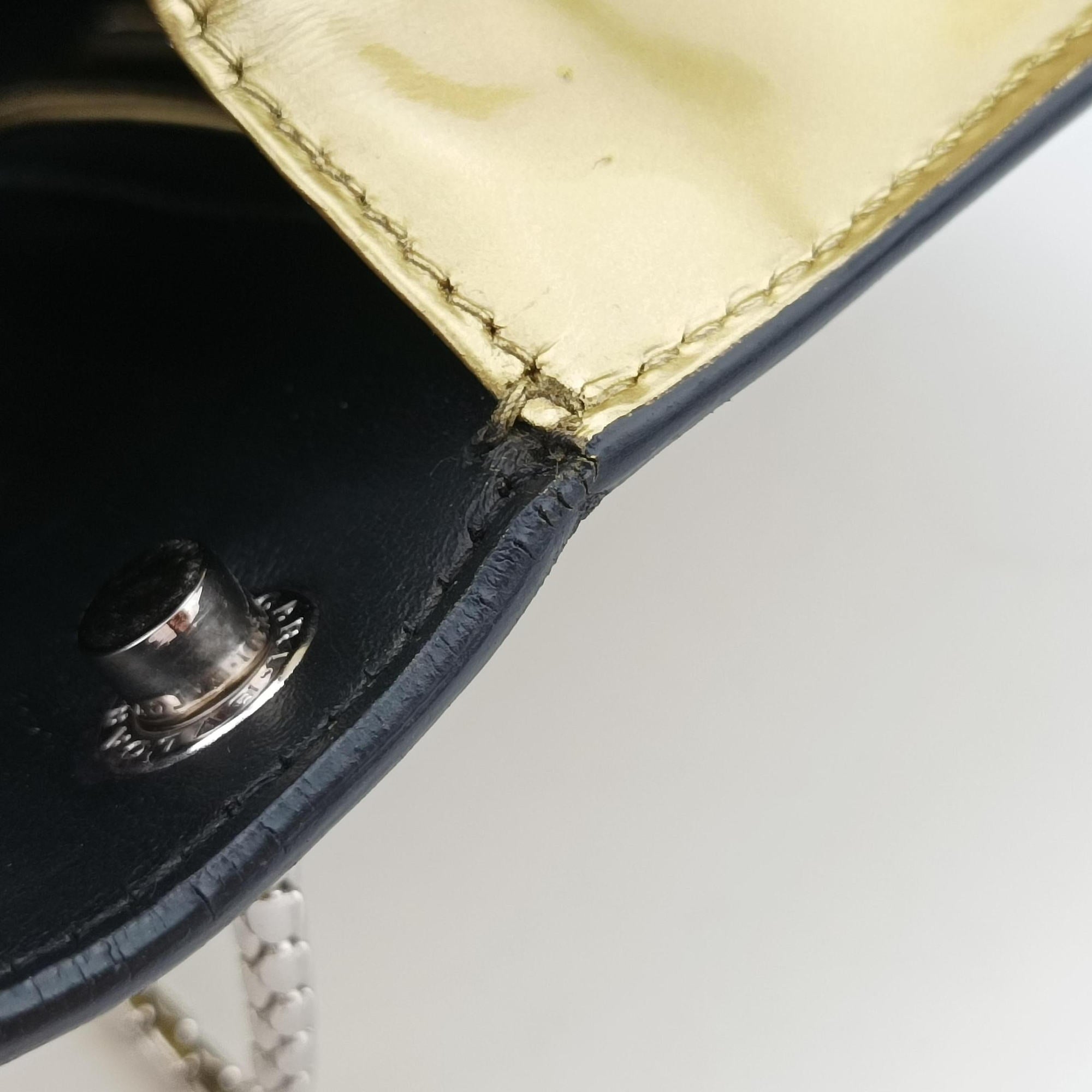 SERPENTI FOREVER Golden Leather LA.A15.38029セルペンティ フォーエバー ゴールド レザー LA.A15.38029