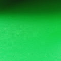 BEAK SMALL Green Leather IC Chipビーク スモール グリーン レザー ICチップ