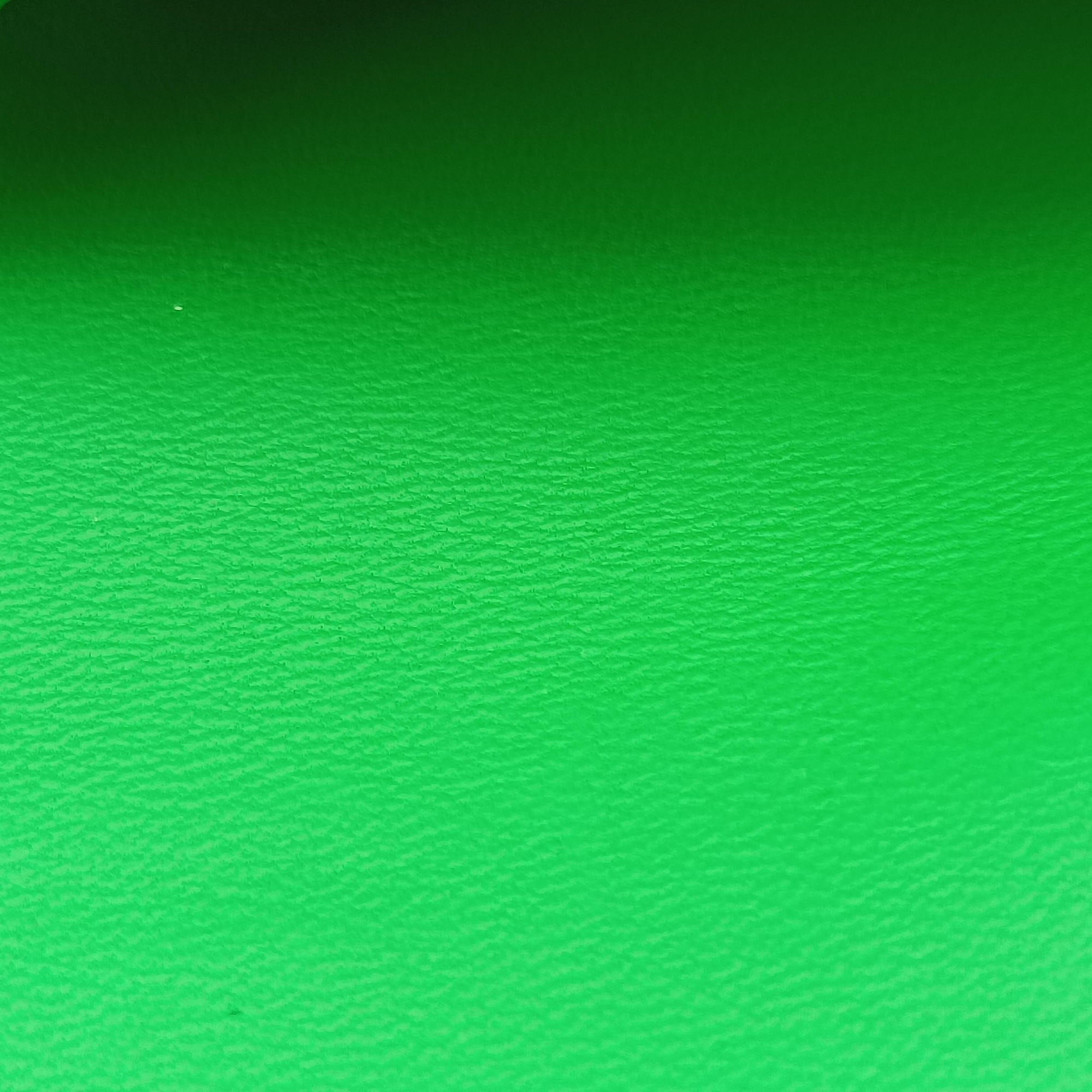 BEAK SMALL Green Leather IC Chipビーク スモール グリーン レザー ICチップ
