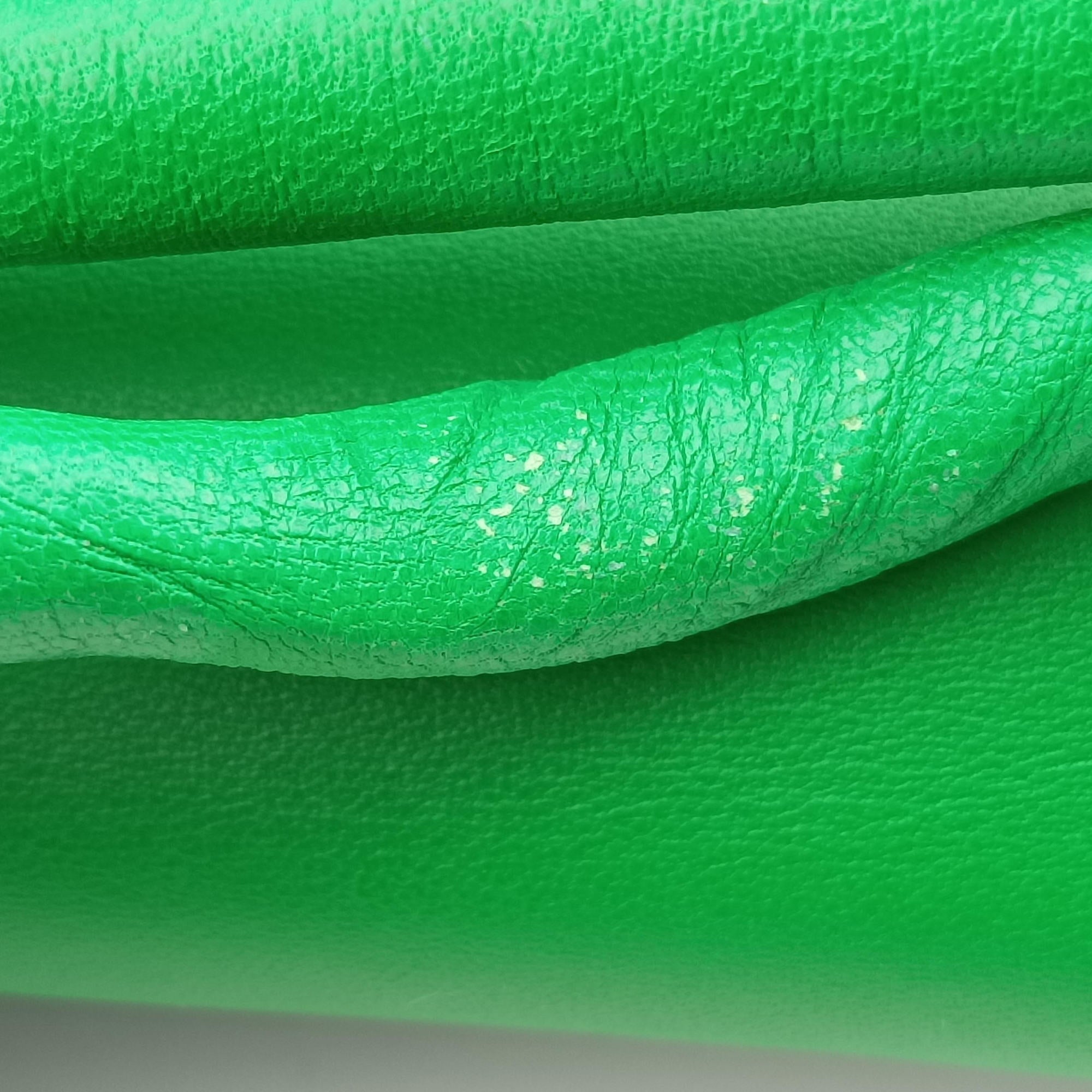 BEAK SMALL Green Leather IC Chipビーク スモール グリーン レザー ICチップ