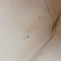 Eden Speedy Bandouliere 30 Argent Monogram Eden Canvas M40358 Lot number unknownエデン スピーディ バンドリエール30 アルジャン モノグラム エデン キャンバス M40358 製番不明
