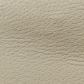Ophidia White Leather 503877 E029520963オフィディア ホワイト レザー 503877 E029520963