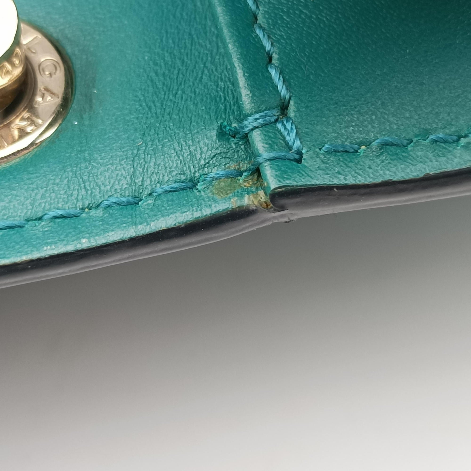 SERPENTI FOREVER Green Leather AC.G19.38065セルペンティ フォーエバー グリーン レザー AC.G19.38065