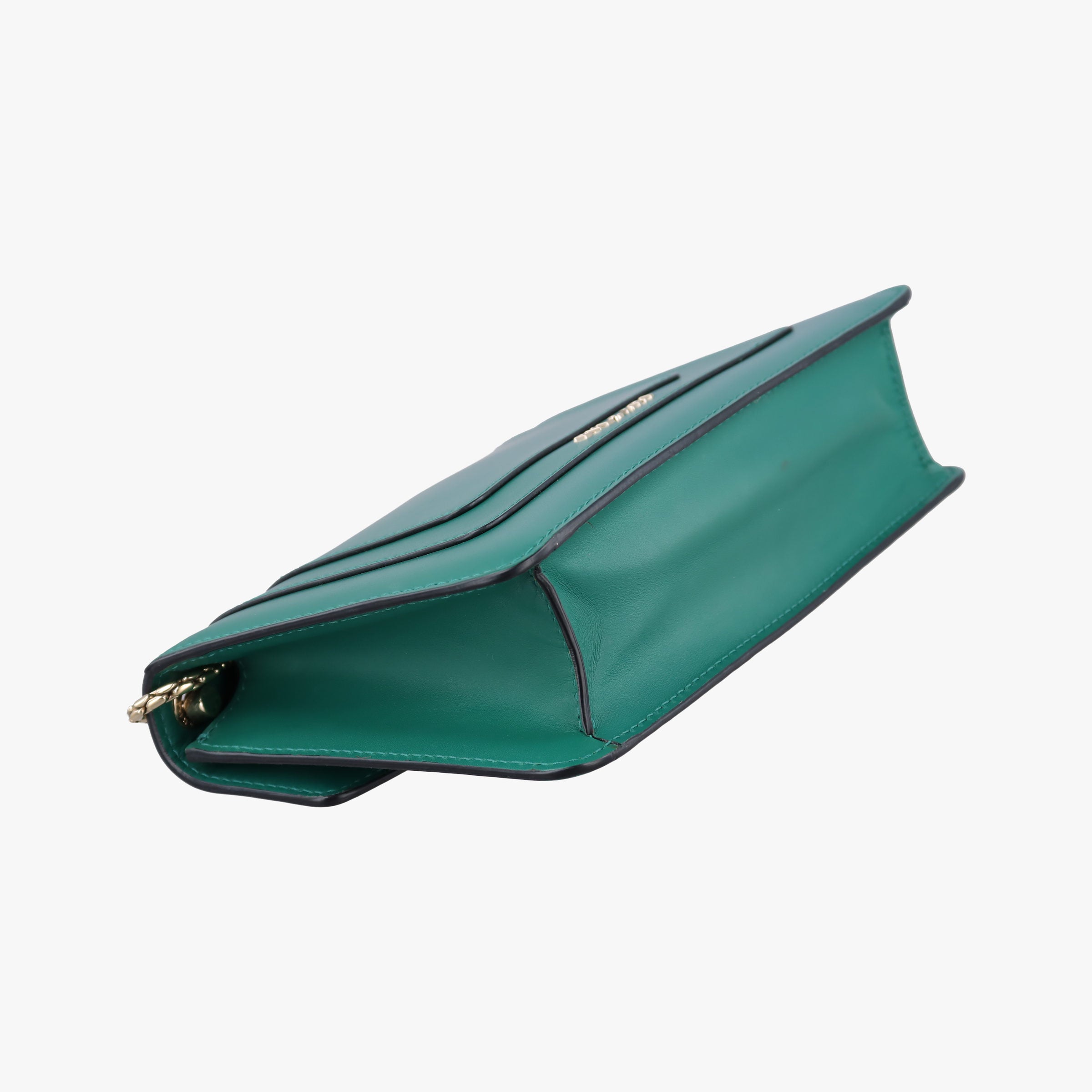 SERPENTI FOREVER Green Leather AC.G19.38065セルペンティ フォーエバー グリーン レザー AC.G19.38065