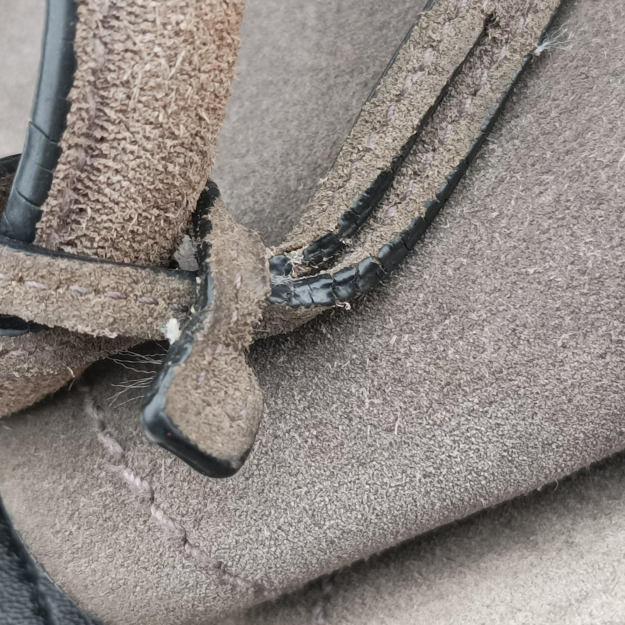 Double Cuir Brown Suede 7 Lダブル キュイール ブラウン スエード 7 L