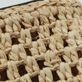 Noé Purse Beige x Brown natural raffia M83521 IC Chipノエ パース ベージュ×ブラウン ナチュラルラフィア M83521 ICチップ