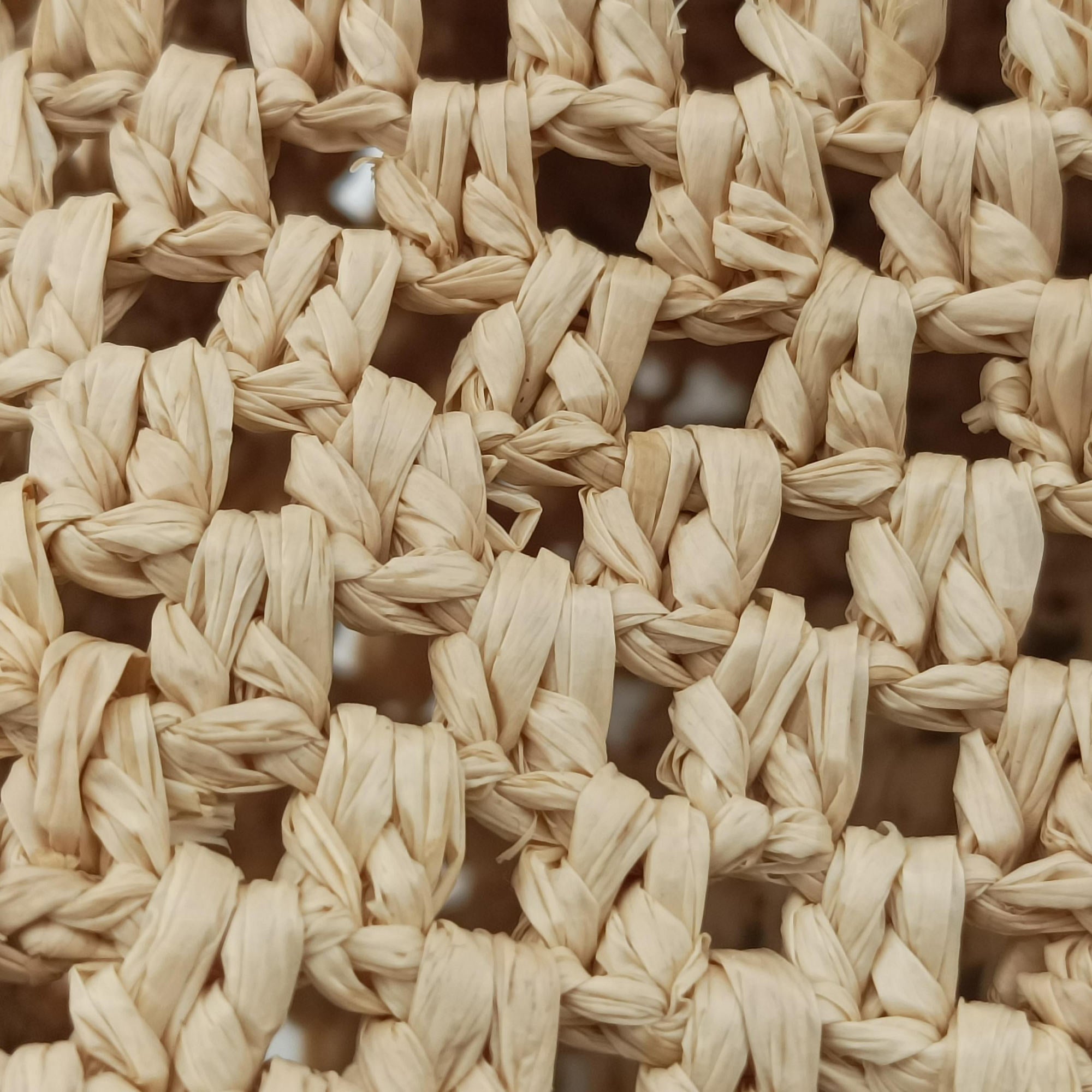 Noé Purse Beige x Brown natural raffia M83521 IC Chipノエ パース ベージュ×ブラウン ナチュラルラフィア M83521 ICチップ