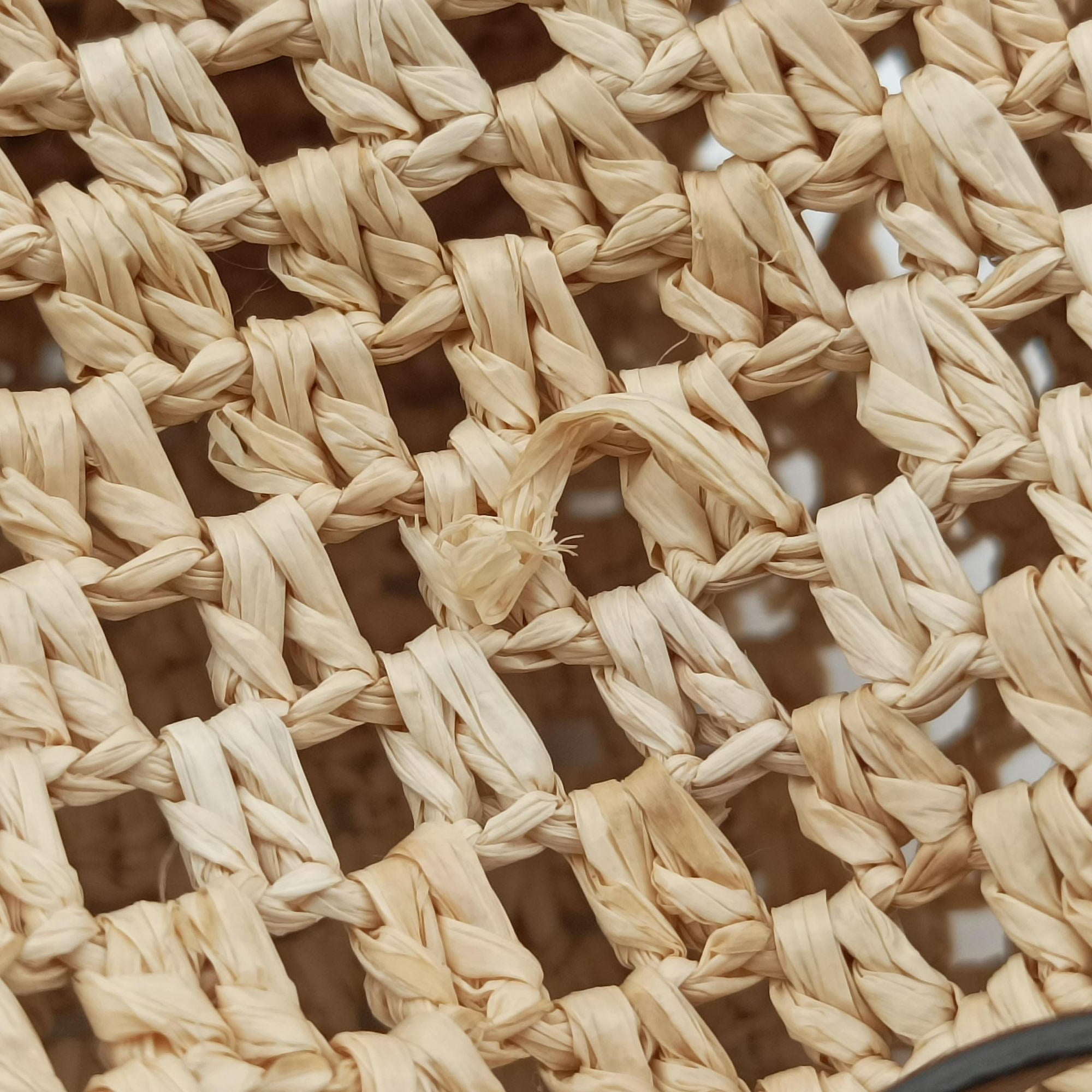 Noé Purse Beige x Brown natural raffia M83521 IC Chipノエ パース ベージュ×ブラウン ナチュラルラフィア M83521 ICチップ