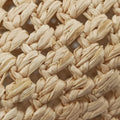 Noé Purse Beige x Brown natural raffia M83521 IC Chipノエ パース ベージュ×ブラウン ナチュラルラフィア M83521 ICチップ