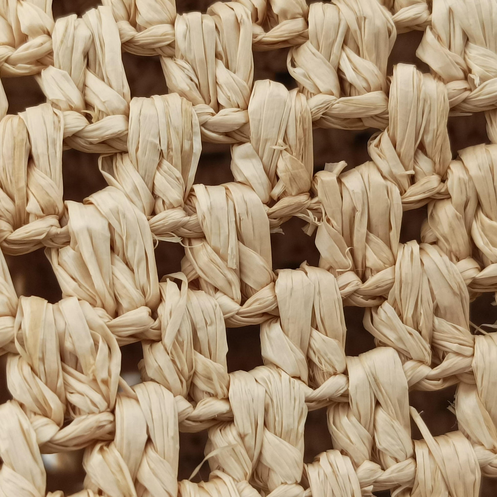 Noé Purse Beige x Brown natural raffia M83521 IC Chipノエ パース ベージュ×ブラウン ナチュラルラフィア M83521 ICチップ