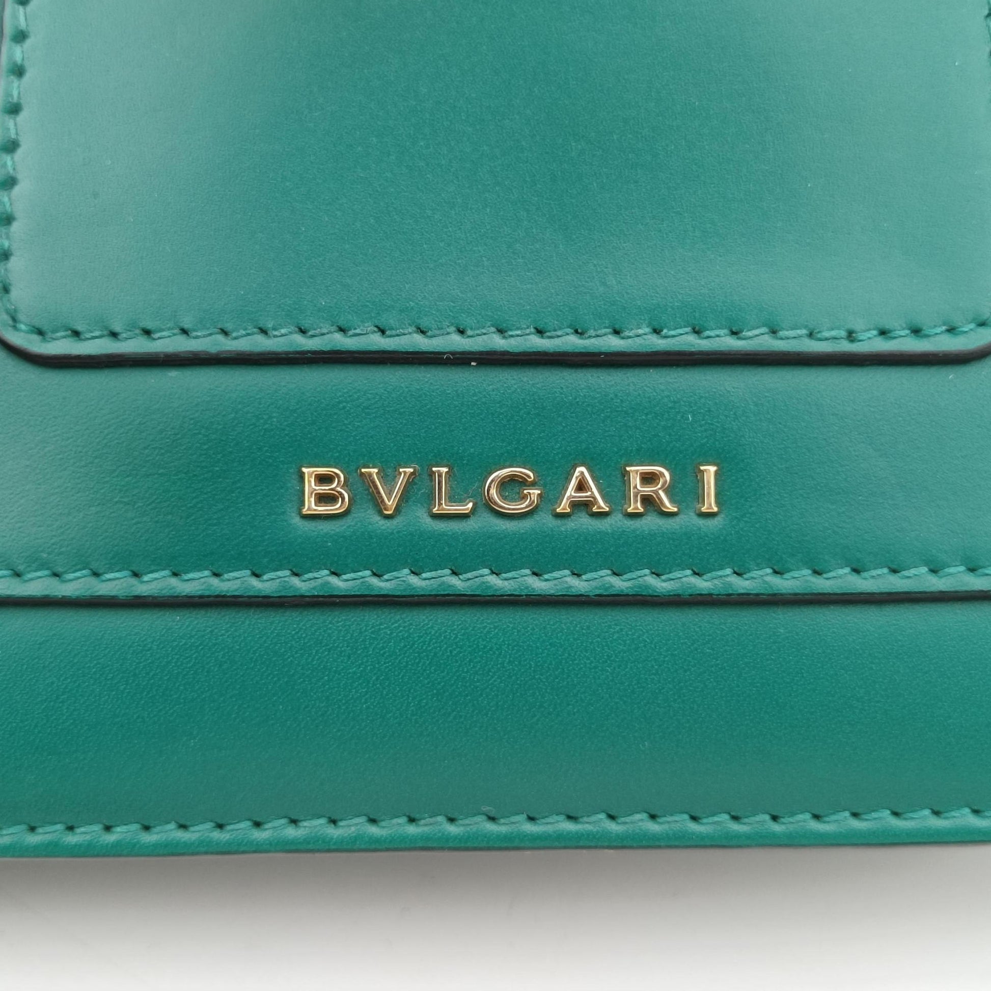 Serpenti Forever Green leather DG.A17.34560セルペンティ フォーエバー グリーン レザー DG.A17.34560