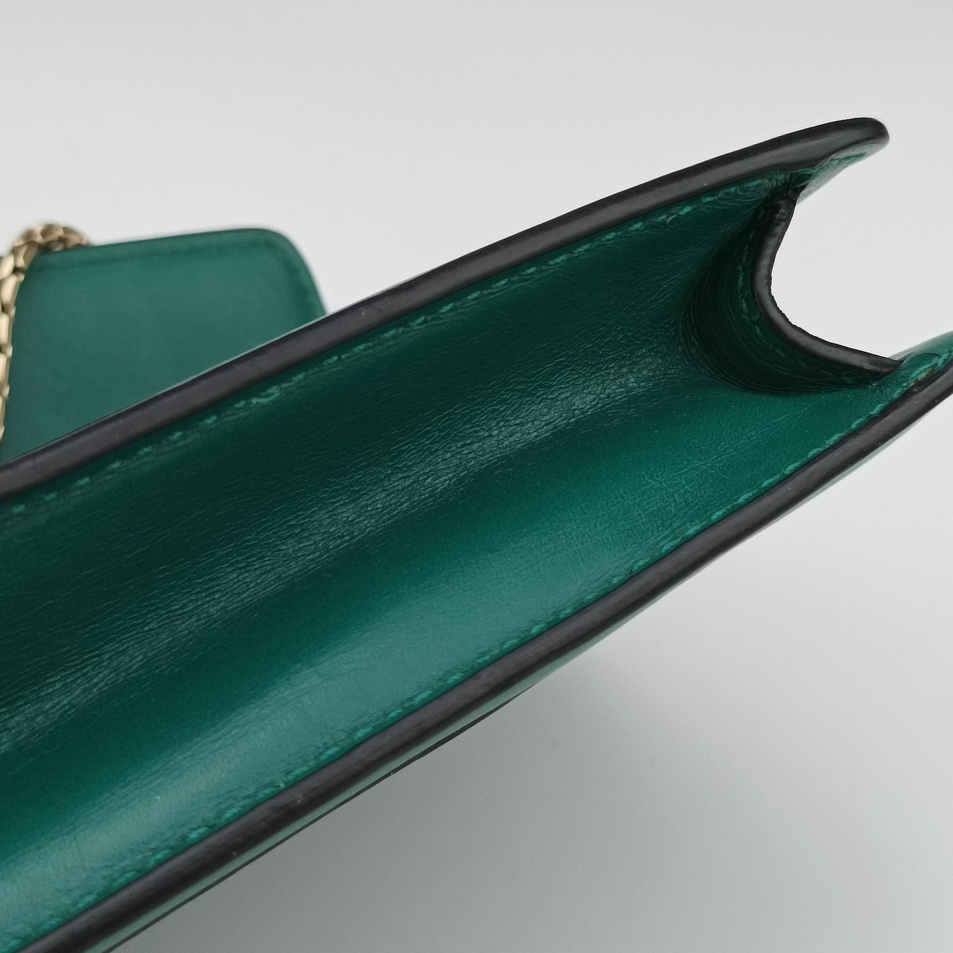 Serpenti Forever Green leather DG.A17.34560セルペンティ フォーエバー グリーン レザー DG.A17.34560