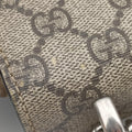 Dionysus Brown PVC coated canvas x Suede 403348 G021824389ディオニュソス ブラウン PVCコーティングキャンバス x スエード 403348 G021824389