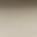 Virtus Beige Leather IC Chipヴィルトゥス ベージュ レザー ICチップ