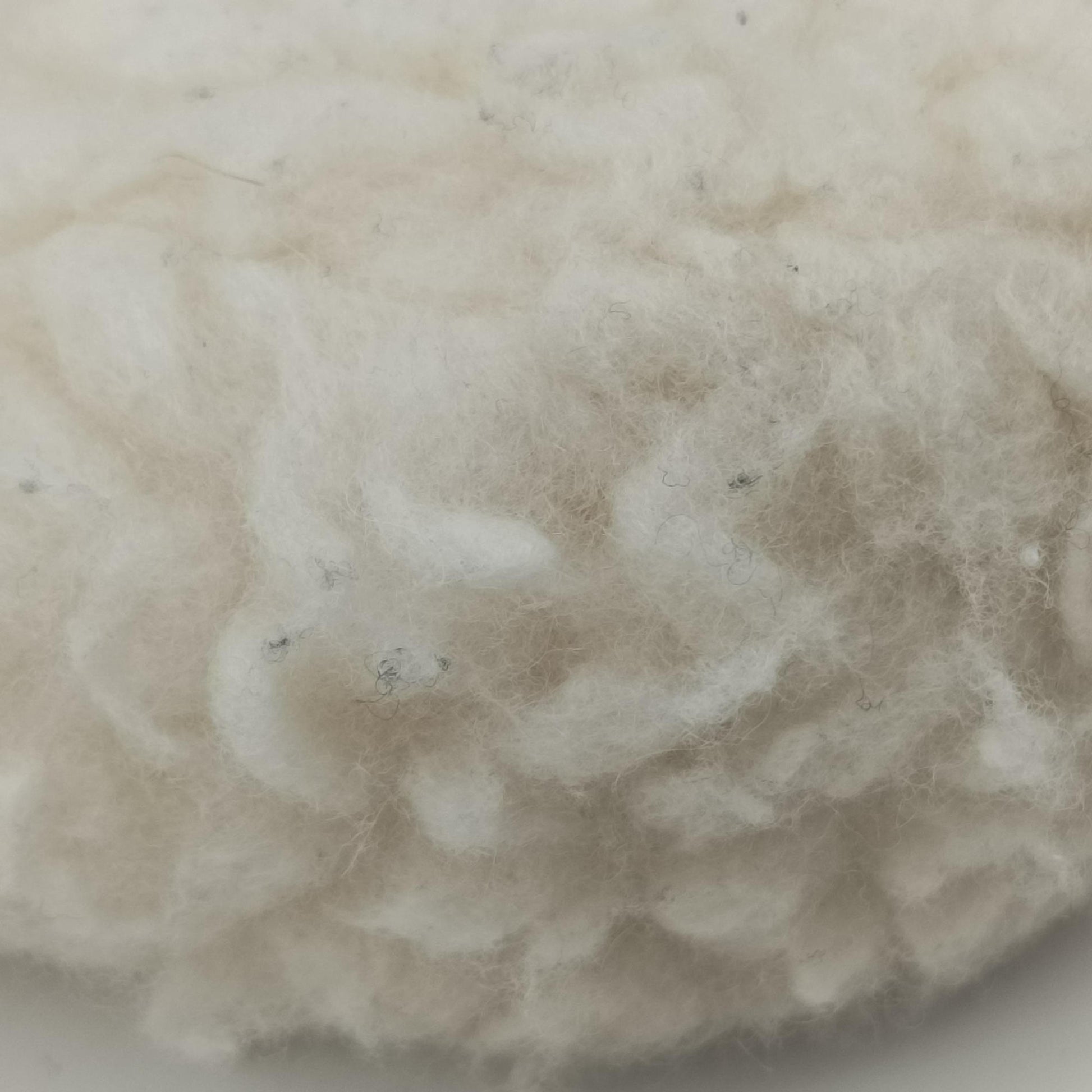 Re-Edition 2000 White Sheep Fur × Nylon Trims 1NE515 31/A3リエディション 2000 ホワイト シープファー × テスート 1NE515 31/A3