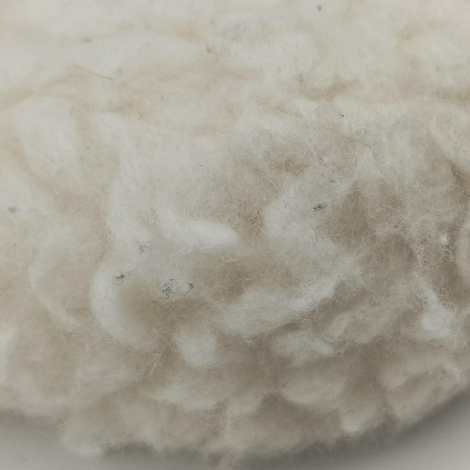 Re-Edition 2000 White Sheep Fur × Nylon Trims 1NE515 31/A3リエディション 2000 ホワイト シープファー × テスート 1NE515 31/A3