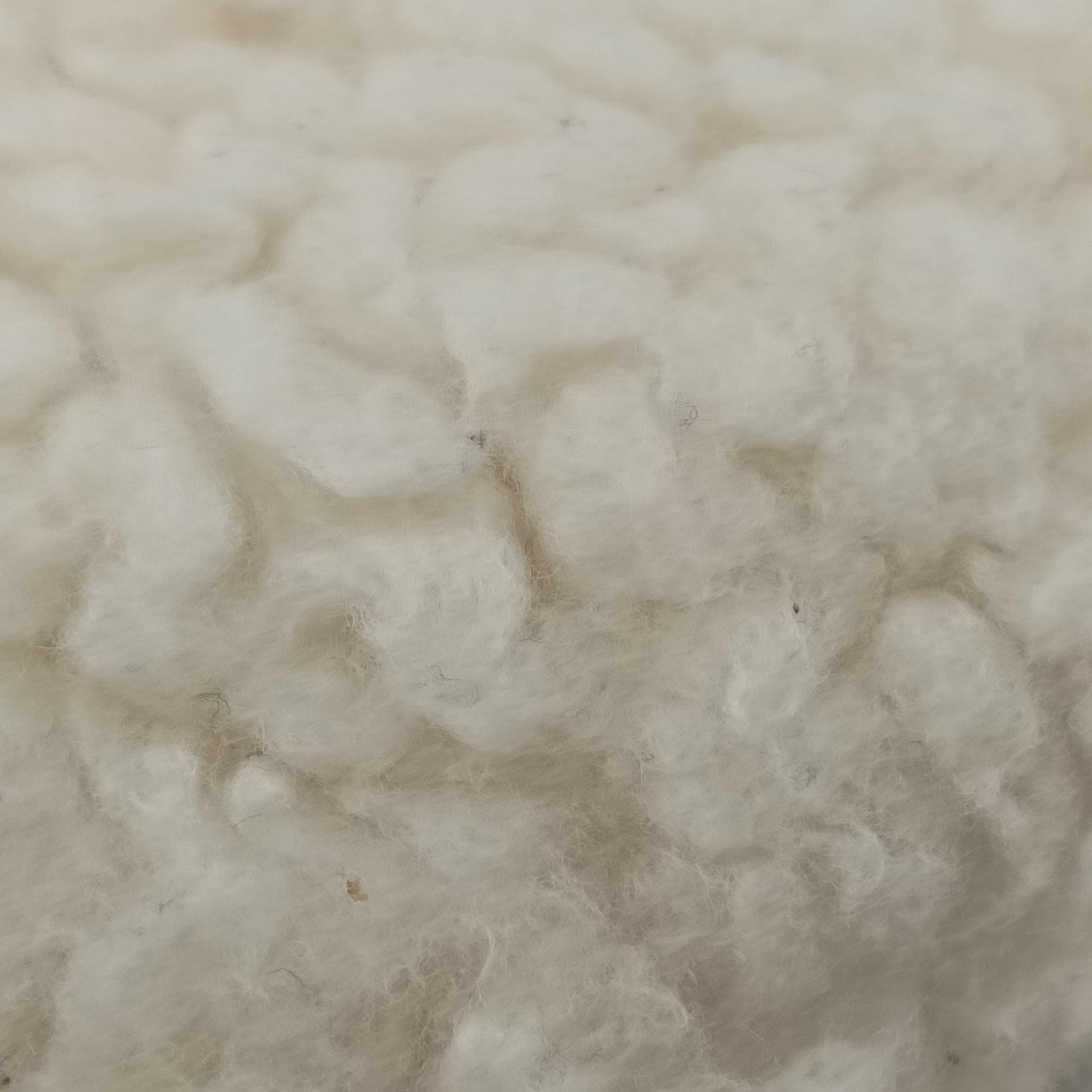 Re-Edition 2000 White Sheep Fur × Nylon Trims 1NE515 31/A3リエディション 2000 ホワイト シープファー × テスート 1NE515 31/A3