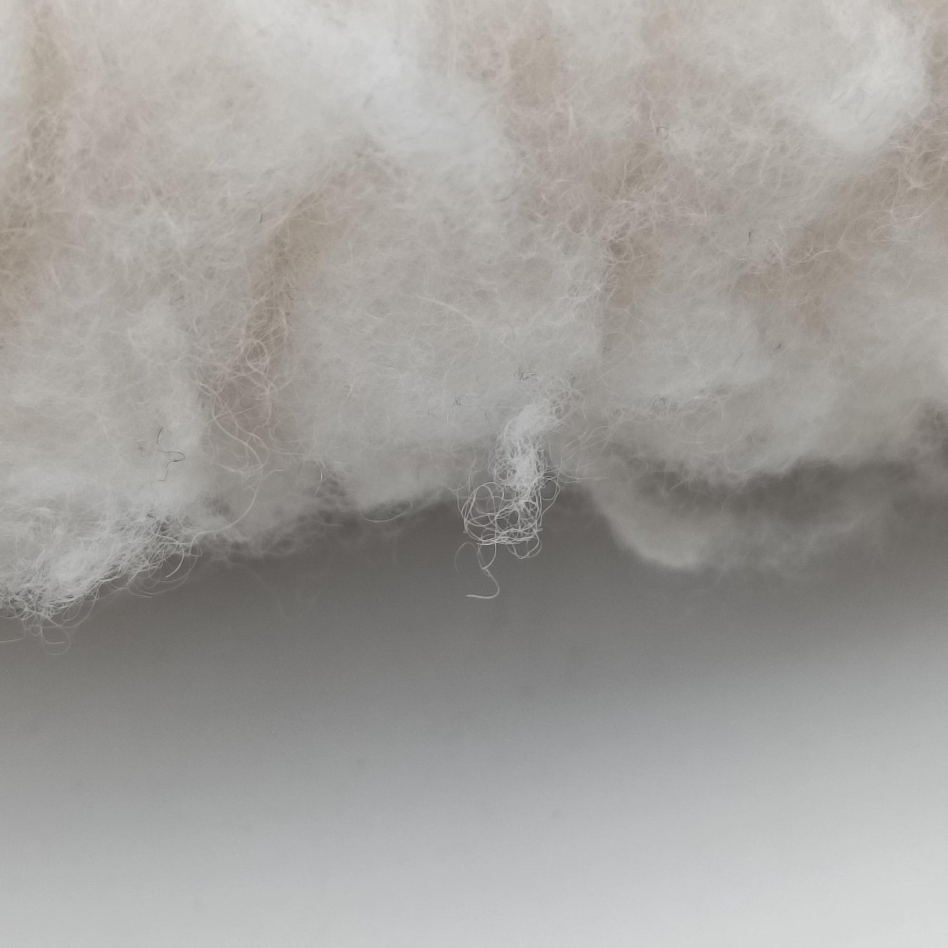 Re-Edition 2000 White Sheep Fur × Nylon Trims 1NE515 31/A3リエディション 2000 ホワイト シープファー × テスート 1NE515 31/A3