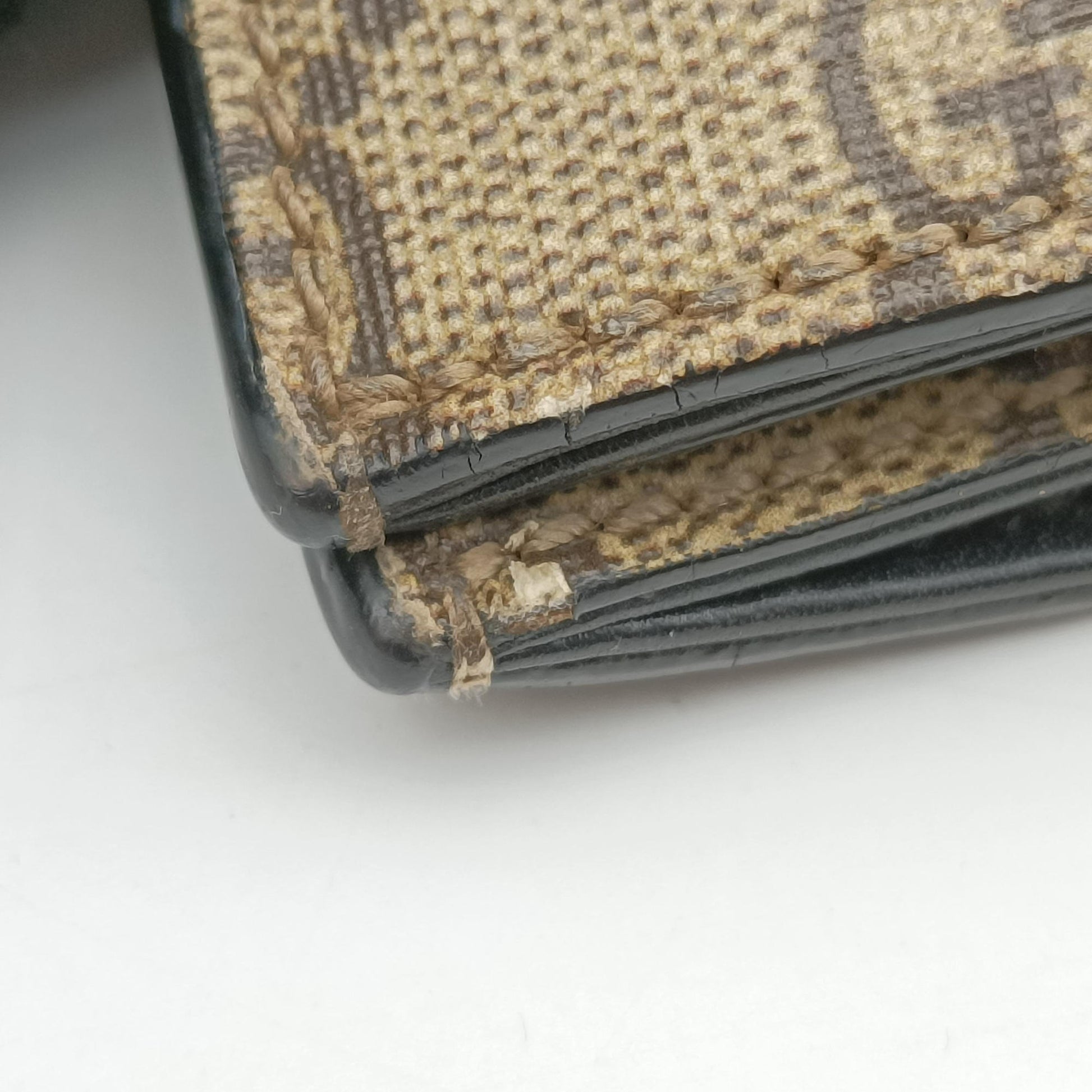 GG Supreme Tiger Brown PVC coated canvas 450950 C021957179GGスプリーム タイガー ブラウン PVCコーティングキャンバス 450950 C021957179