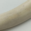 Mombasa Beige Leather 129026 129026.205027モンバサ ベージュ レザー 129026 129026.205027