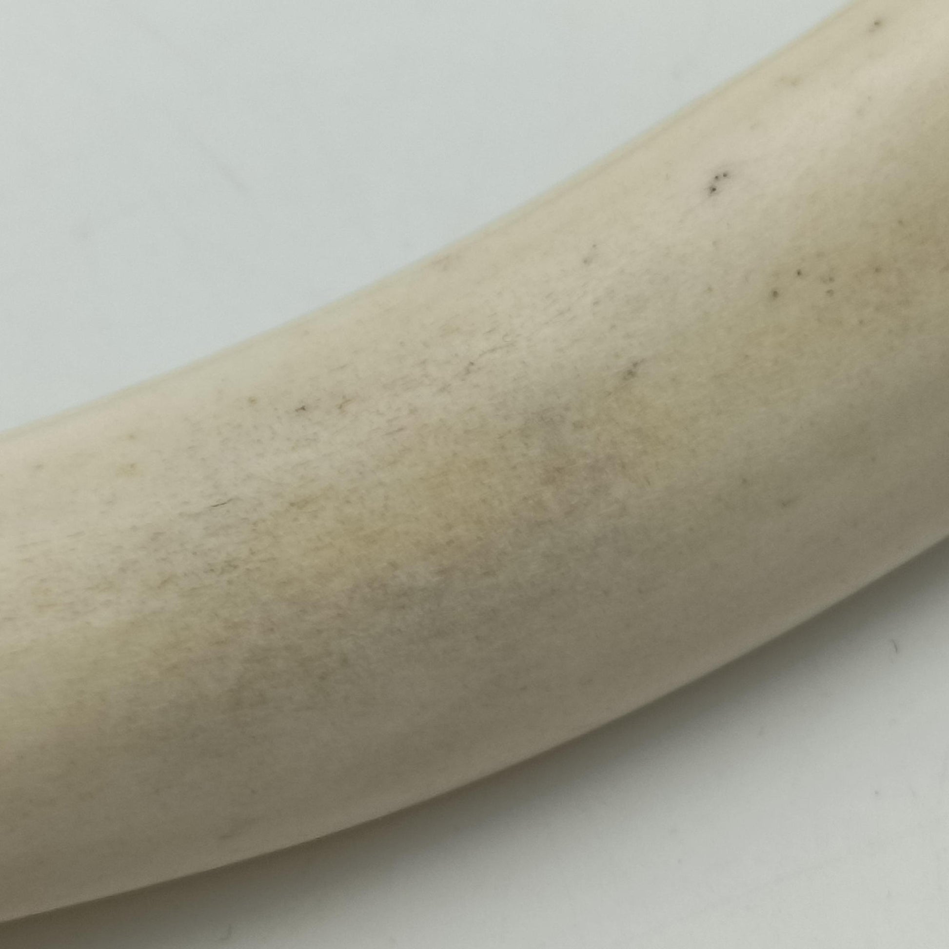 Mombasa Beige Leather 129026 129026.205027モンバサ ベージュ レザー 129026 129026.205027