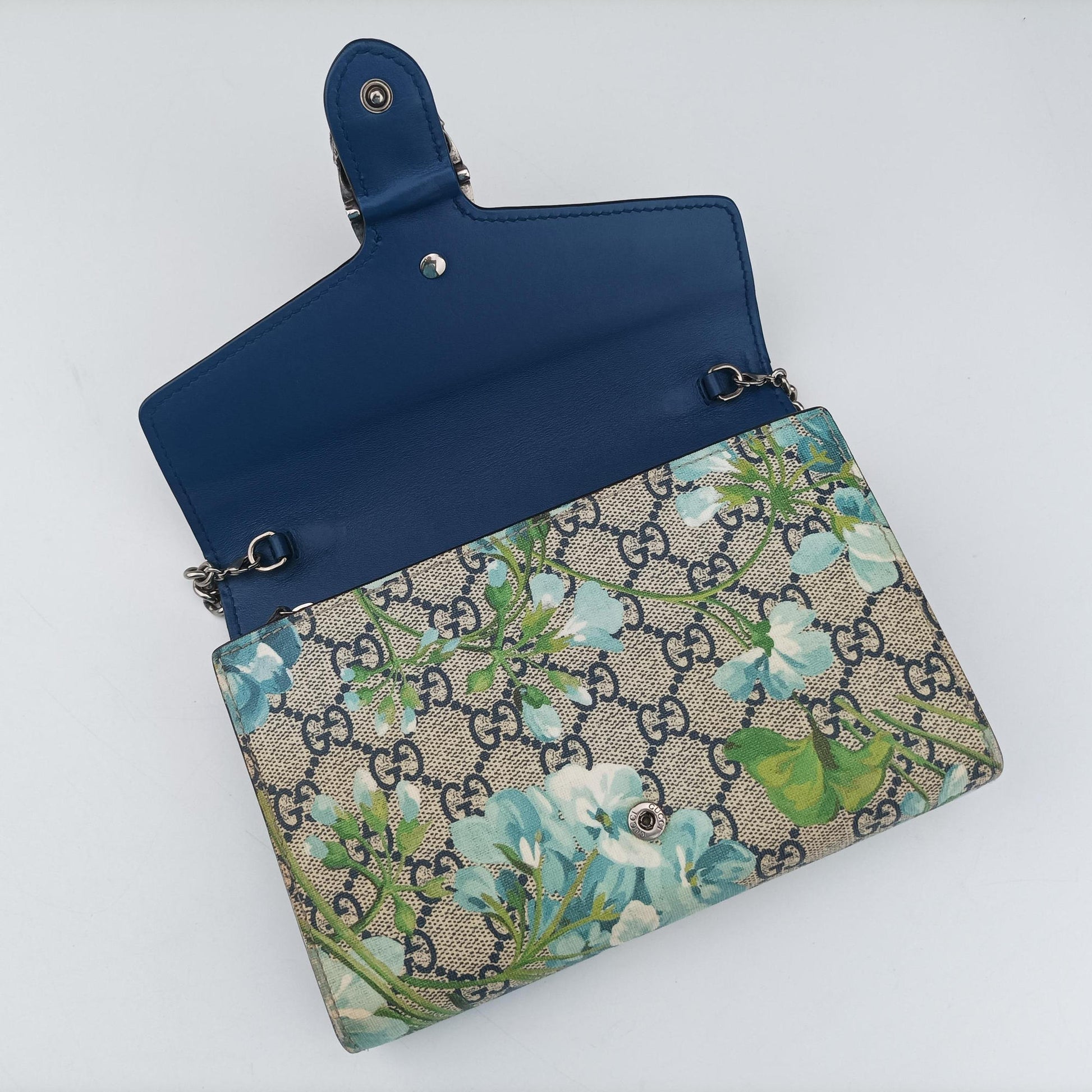 Dionysus Beige×Multicolour PVC coated canvas 401231 ディオニュソス ベージュ×マルチカラー PVCコーティングキャンバス 401231 