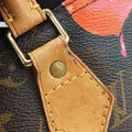 SPEEDY 30 brown×multi Monogram Canvas M48610 SP4078スピーディ30 モノグラム/ブラウン×マルチ モノグラムキャンバス M48610 SP4078