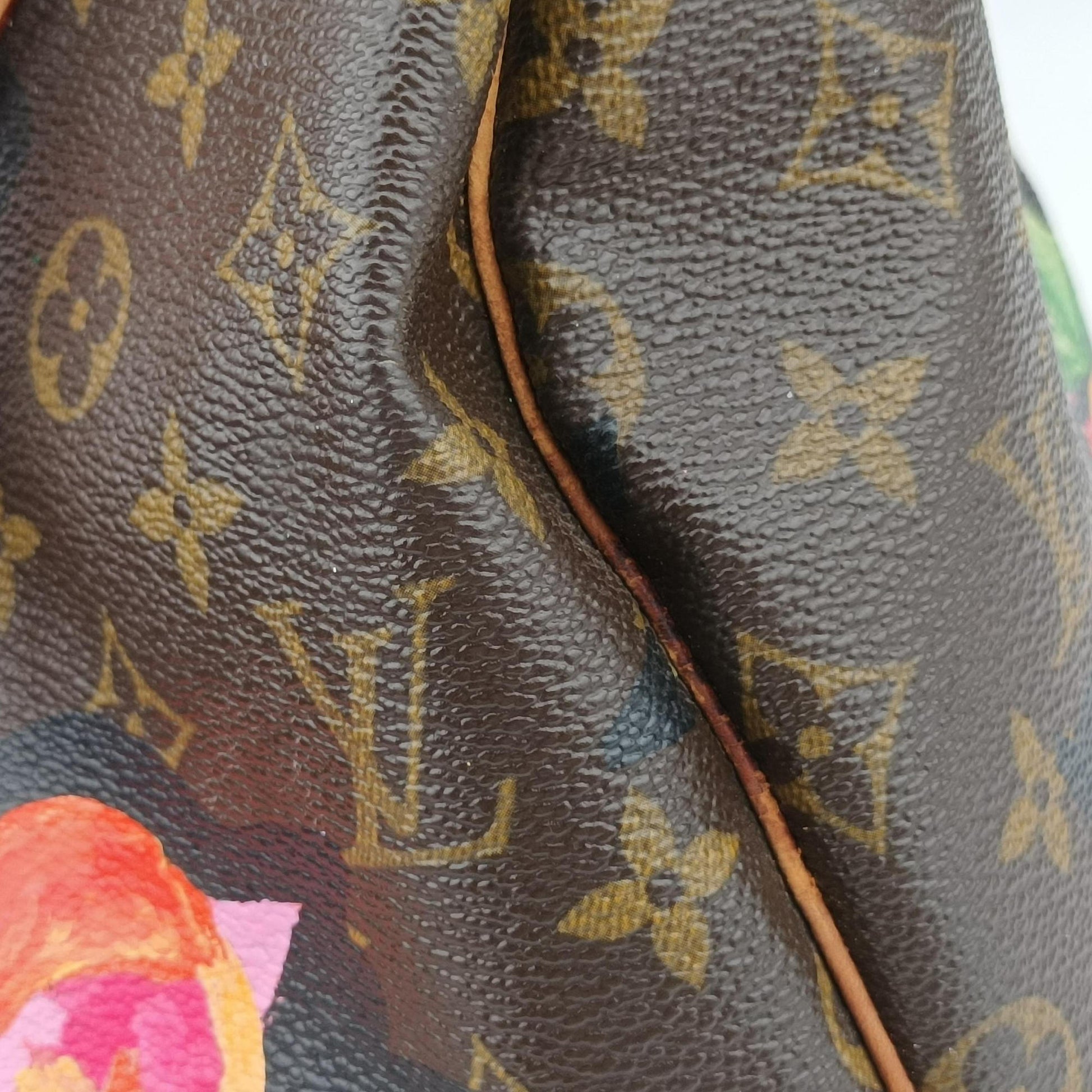 SPEEDY 30 brown×multi Monogram Canvas M48610 SP4078スピーディ30 モノグラム/ブラウン×マルチ モノグラムキャンバス M48610 SP4078