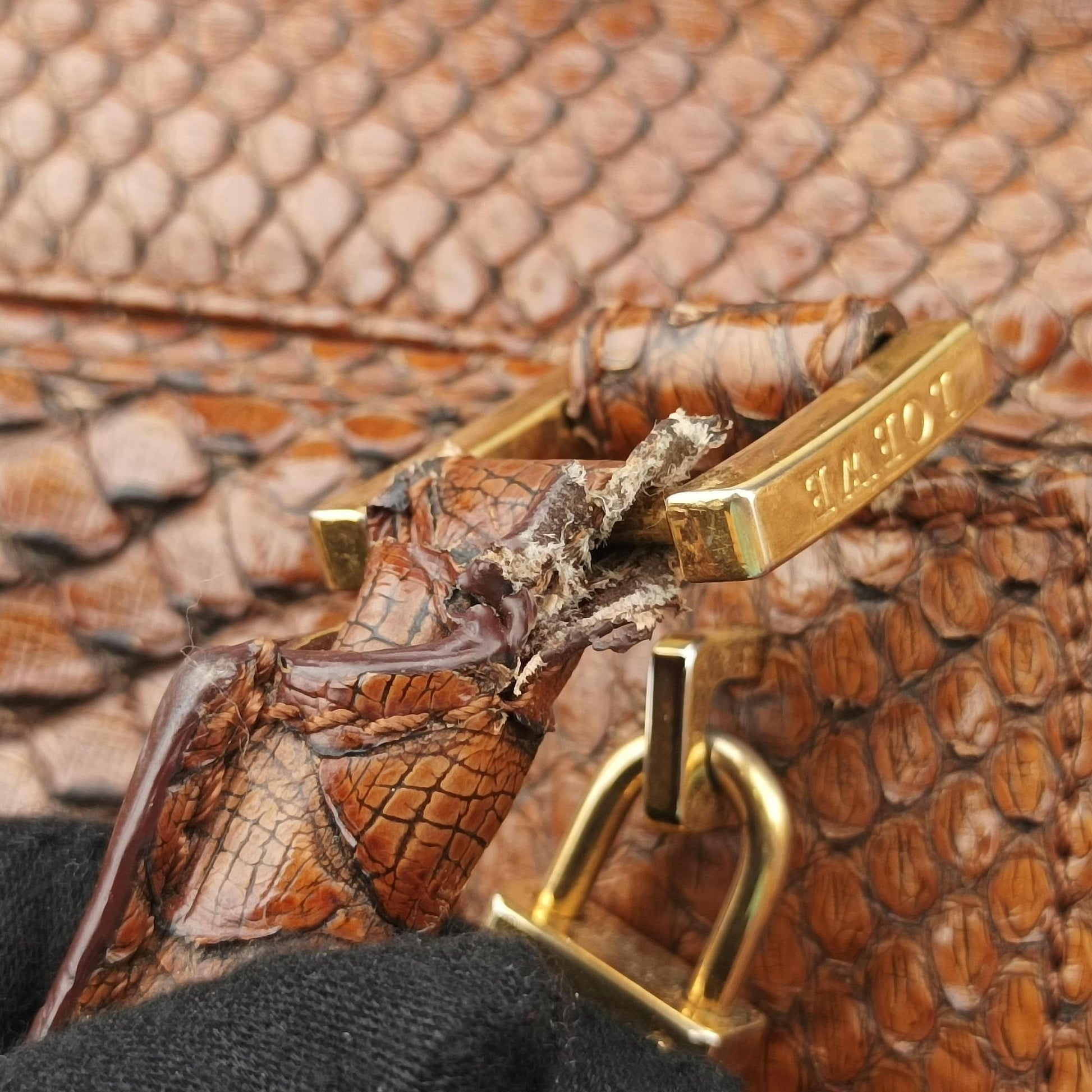 Amazona Brown Python × Nappa Leather 010804アマソナ ブラウン パイソン × レザー 010804