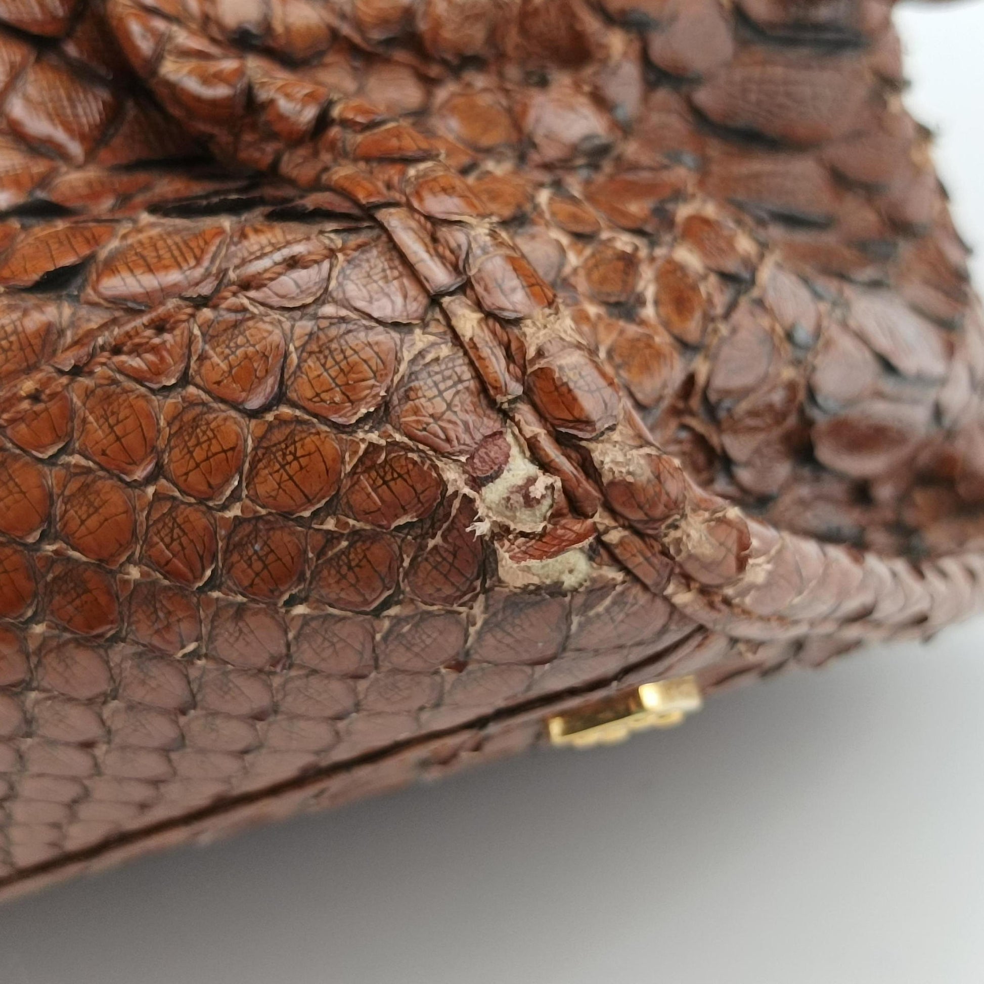 Amazona Brown Python × Nappa Leather 010804アマソナ ブラウン パイソン × レザー 010804