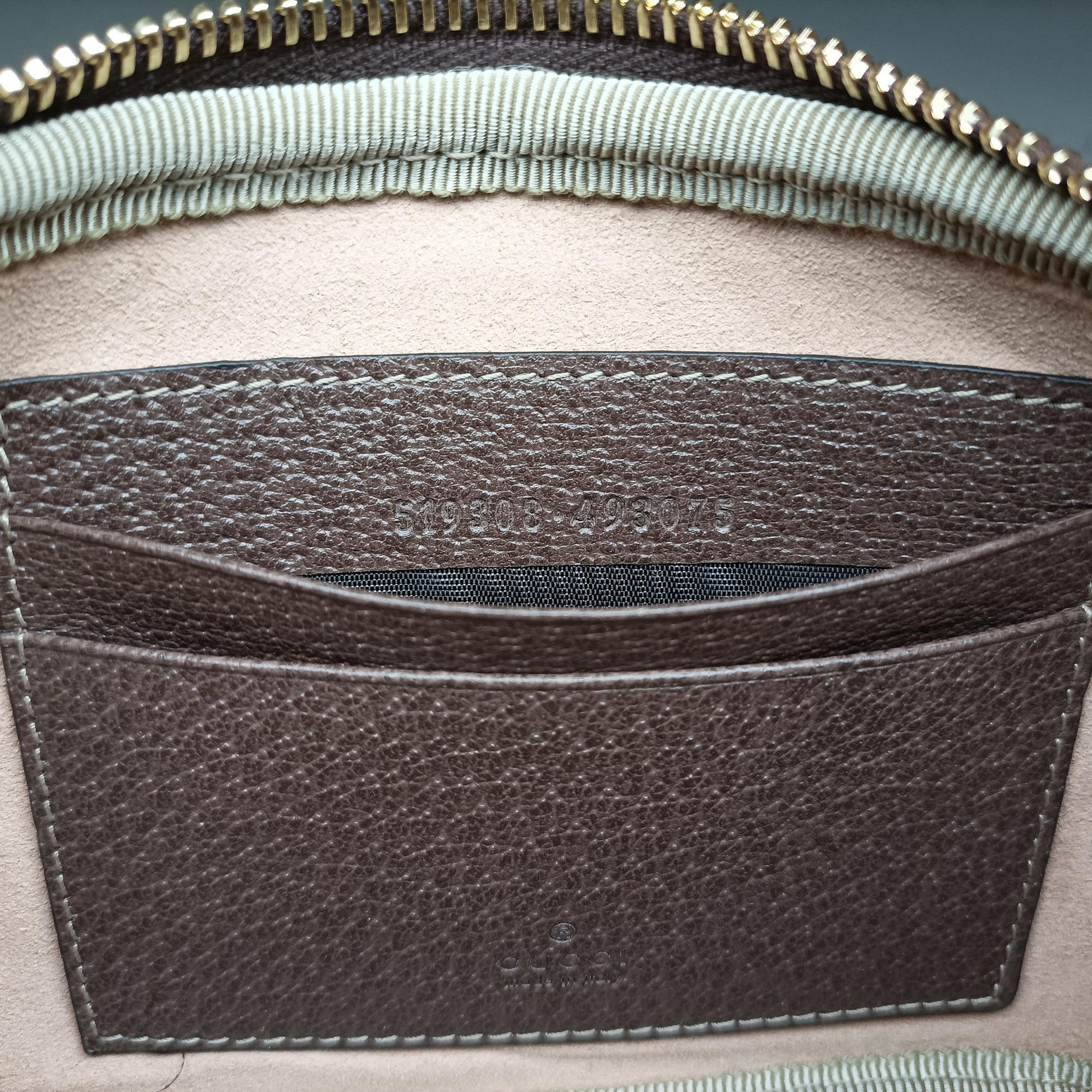 Ophidia Brown×green×red PVC coated canvas 519308 オフィディア ブラウン×グリーン×レッド PVCコーティングキャンバス 519308 
