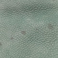 Mia FF Logo Emerald Green Leather 8BR615 8BR651-DRD 2461-119ミア FFロゴ  エメラルドグリーン レザー 8BR615 8BR651-DRD 2461-119