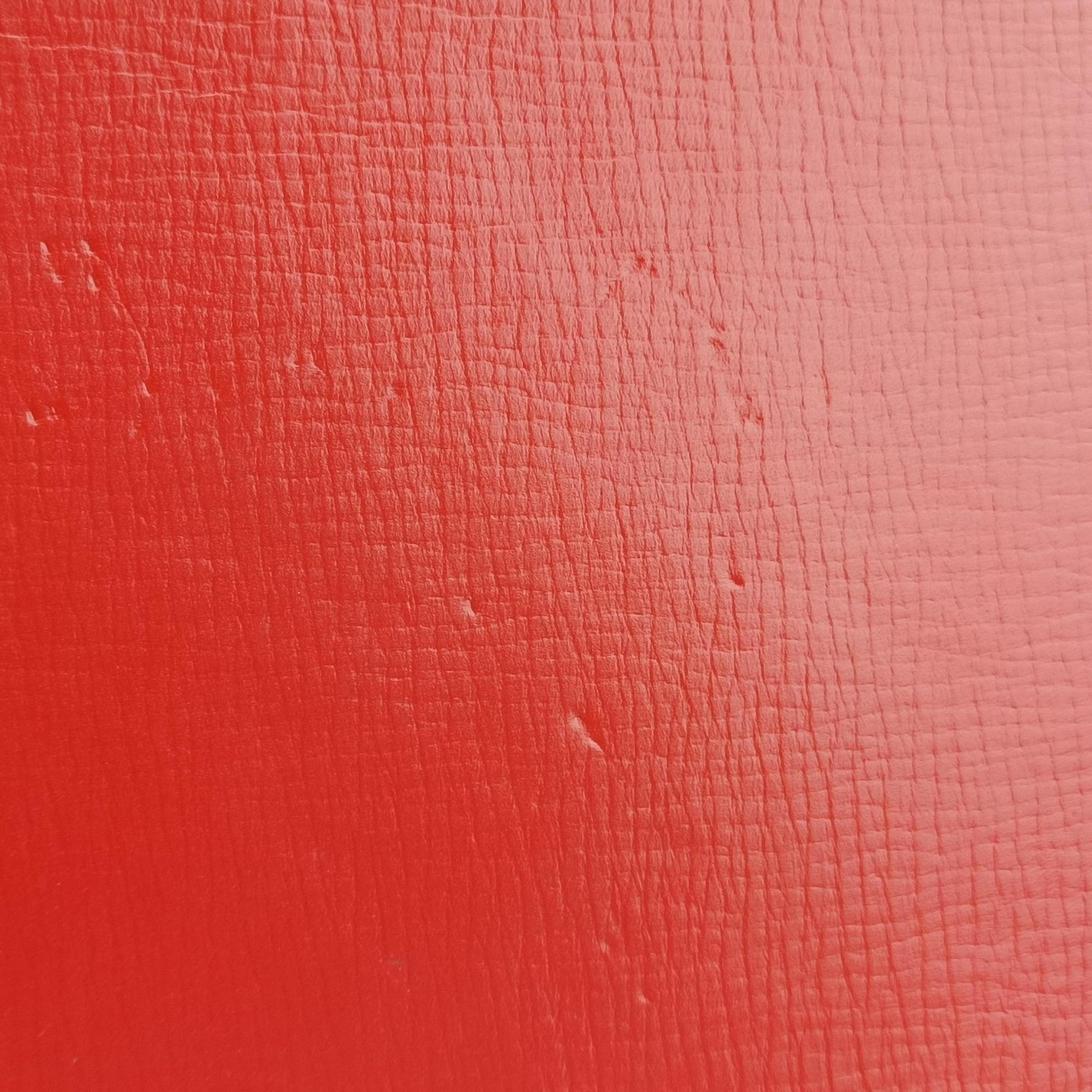 Isabella Rossellini Red Leather AX.A13.35999イザベラロッセリーニ レッド レザー AX.A13.35999