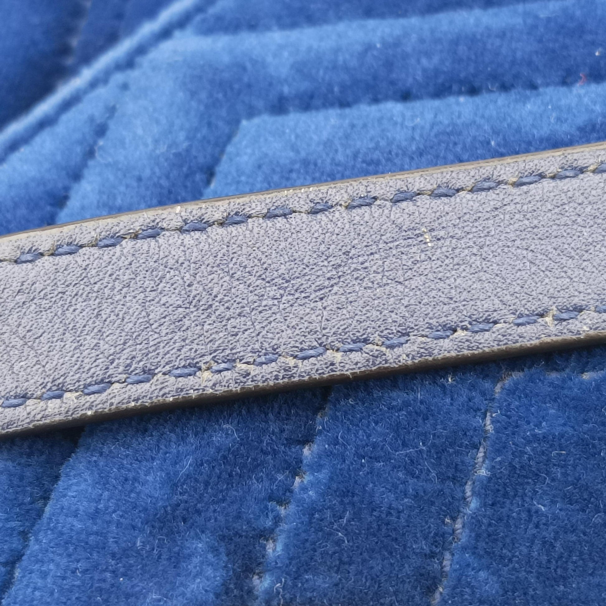 GG Marmont Blue velour 446744 E024214219GGマーモント ブルー ベロア 446744 E024214219