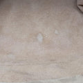 GG Supreme Tian beige×Multicolour PVC coated canvas×Leather 427042 E020472957GGスプリームティアン ベージュ×マルチカラー PVCコーティングキャンバス×レザー 427042 E020472957