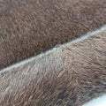 Horsebit Cow Print Hobo Brown Pony-style Calfskin × Leather 45ホースビット カウハラコ ブラウン ハラコ × ヴィンテージレザー 45