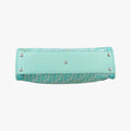 PEEKABOO Green Clear PVC× Leather 8BN290 8BN290-A3IE-198-10420ピーカブー グリーン 透明PVC× レザー 8BN290 8BN290-A3IE-198-10420