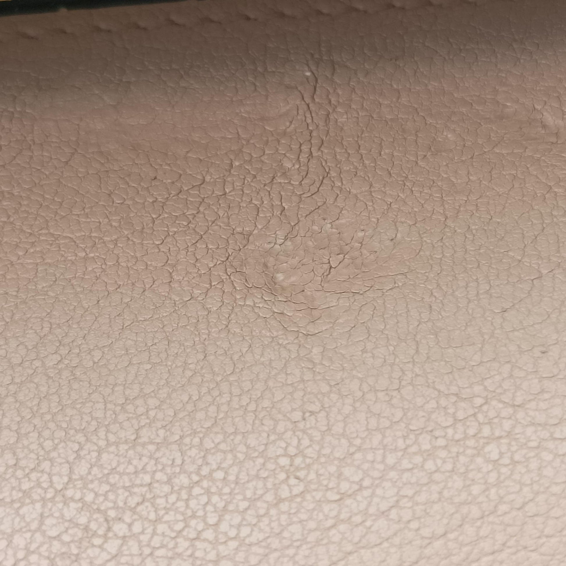 COLLEGE Beige Leather 600279 TCT600279.0720カレッジ ベージュ レザー 600279 TCT600279.0720
