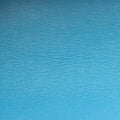 Dionysus Blue velour 476432 ディオニュソス ブルー ベロア 476432 