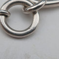 Chaine d'ancre Amulet Silver Ag925 シェーヌダンクル アミュレット シルバー Ag925 