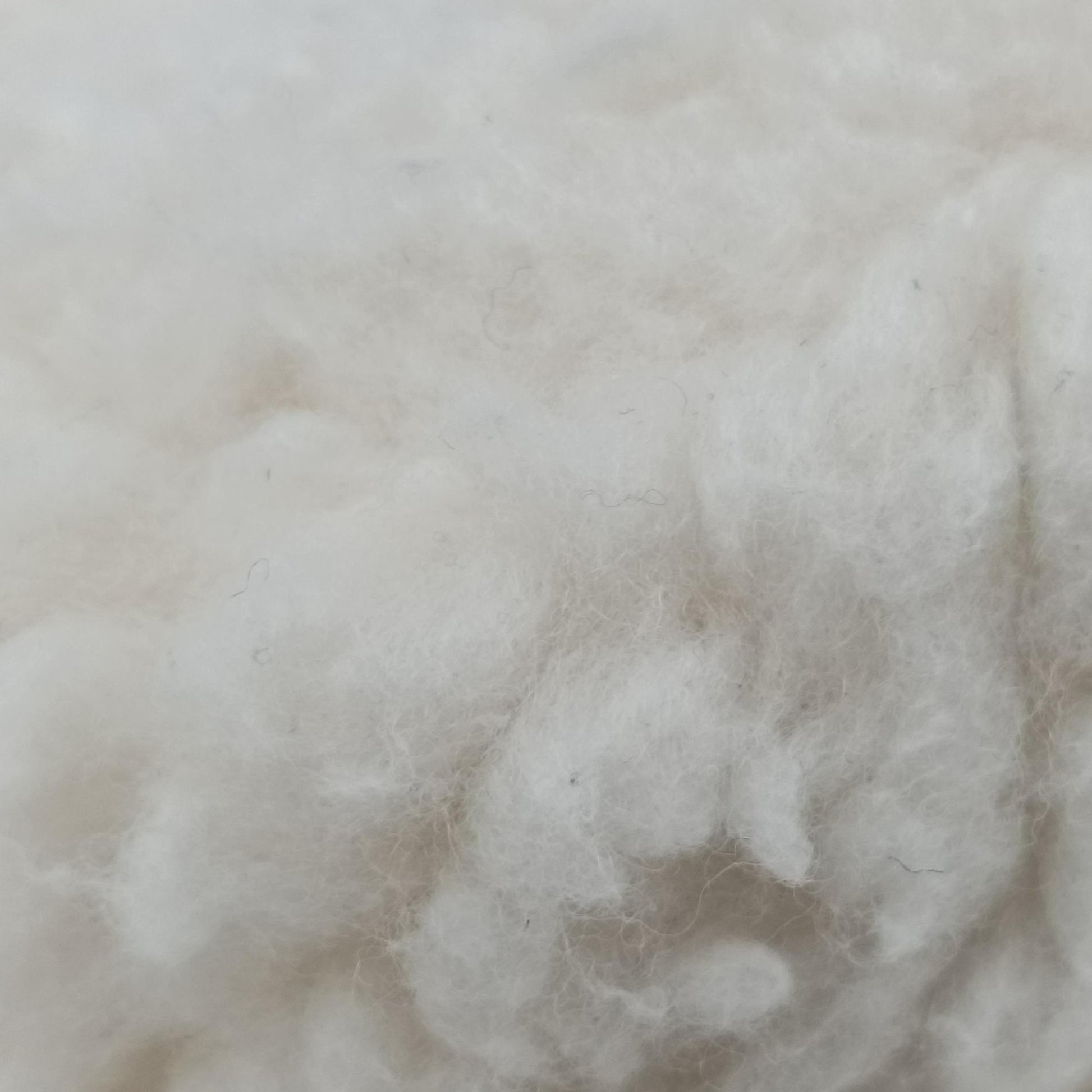 Re-Edition 2005 White Wool 1NE515 7/Dリエディション 2005 ホワイト ウール 1NE515 7/D