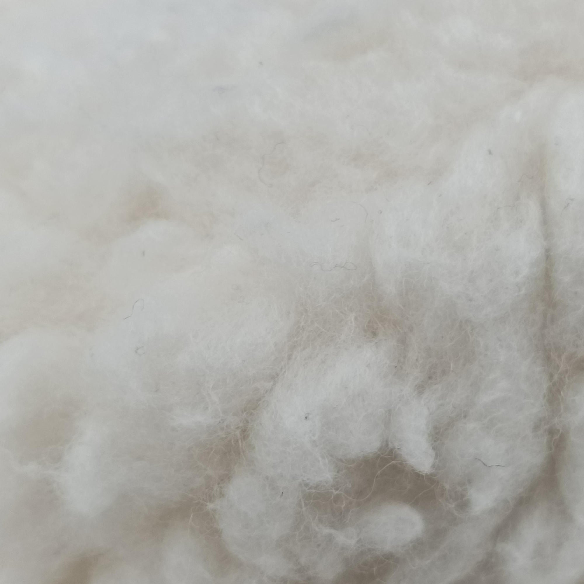 Re-Edition 2005 White Wool 1NE515 7/Dリエディション 2005 ホワイト ウール 1NE515 7/D