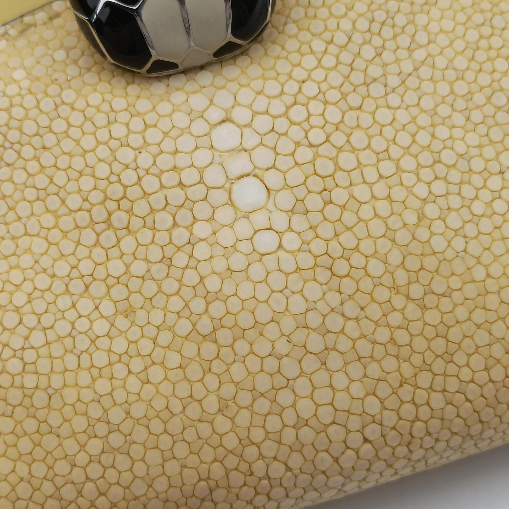Serpenti Yellow Galuchat Skin×Leather AX.N14.38312セルペンティ イエロー ガルーシャスキン×ザー AX.N14.38312