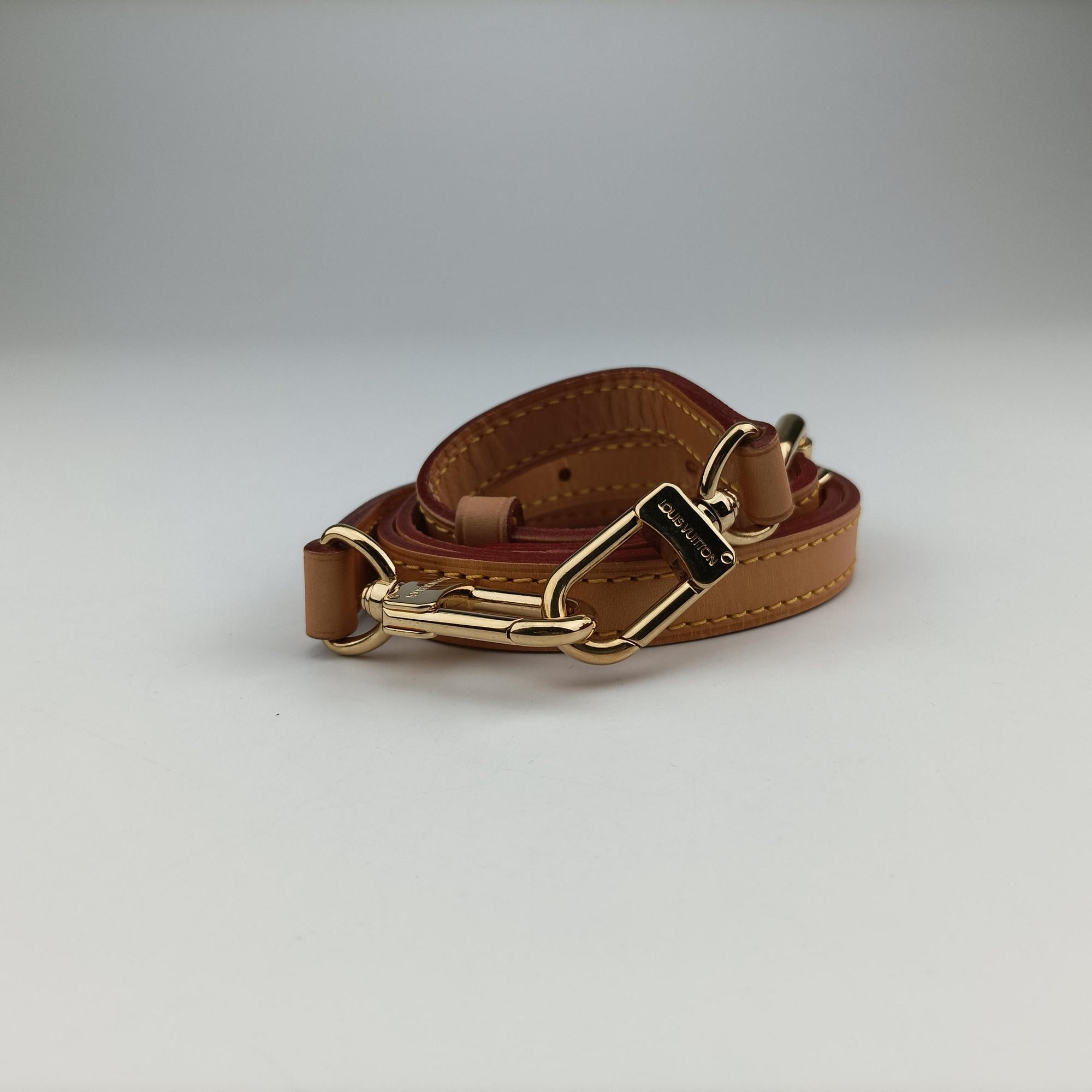 Petit PalaisMM Brown Monogram Canvas M45898 IC Chipプティ パレMM モノグラム/ブラウン モノグラムキャンバス M45898 ICチップ
