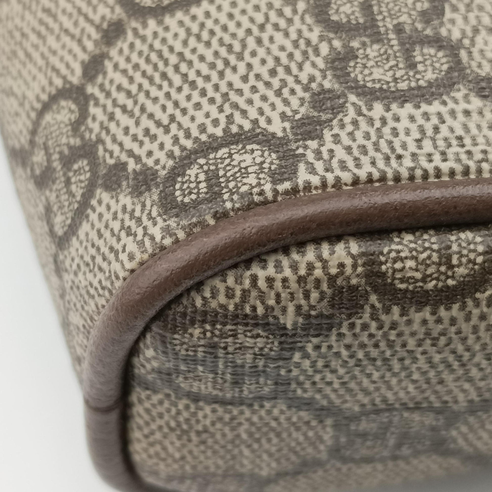 Ophidia Brown PVC coated canvas 517076 B024432970オフィディア ブラウン PVCコーティングキャンバス 517076 B024432970