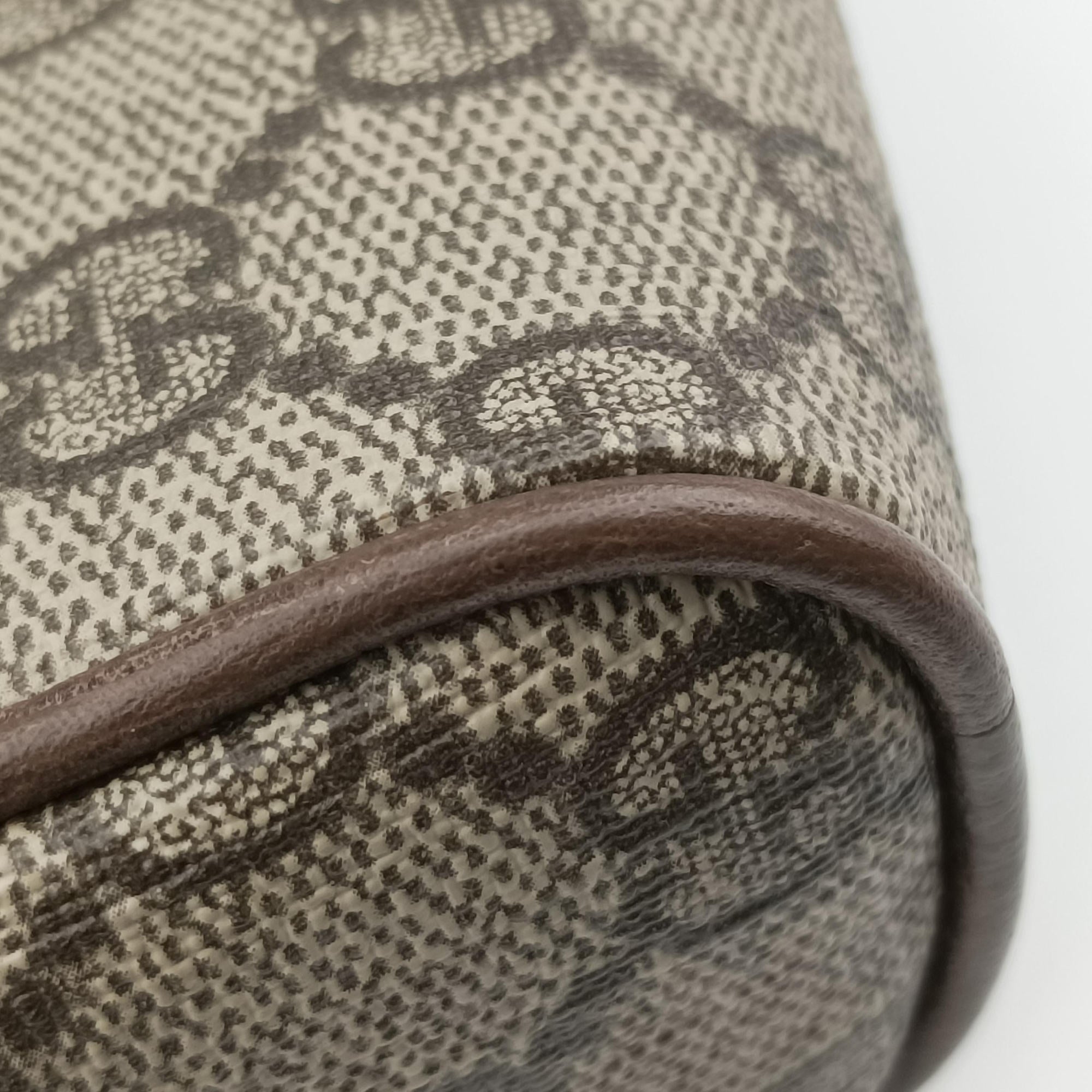 Ophidia Brown PVC coated canvas 517076 B024432970オフィディア ブラウン PVCコーティングキャンバス 517076 B024432970