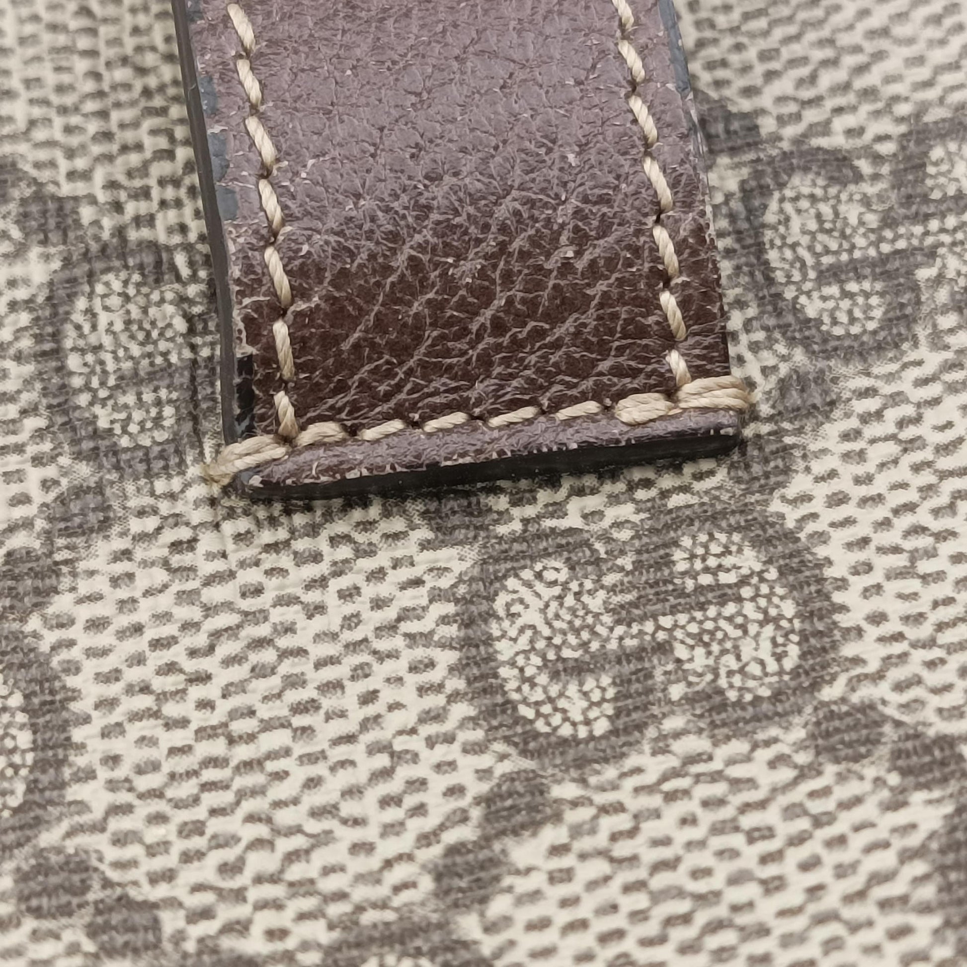 Ophidia Brown PVC coated canvas 517076 B024432970オフィディア ブラウン PVCコーティングキャンバス 517076 B024432970