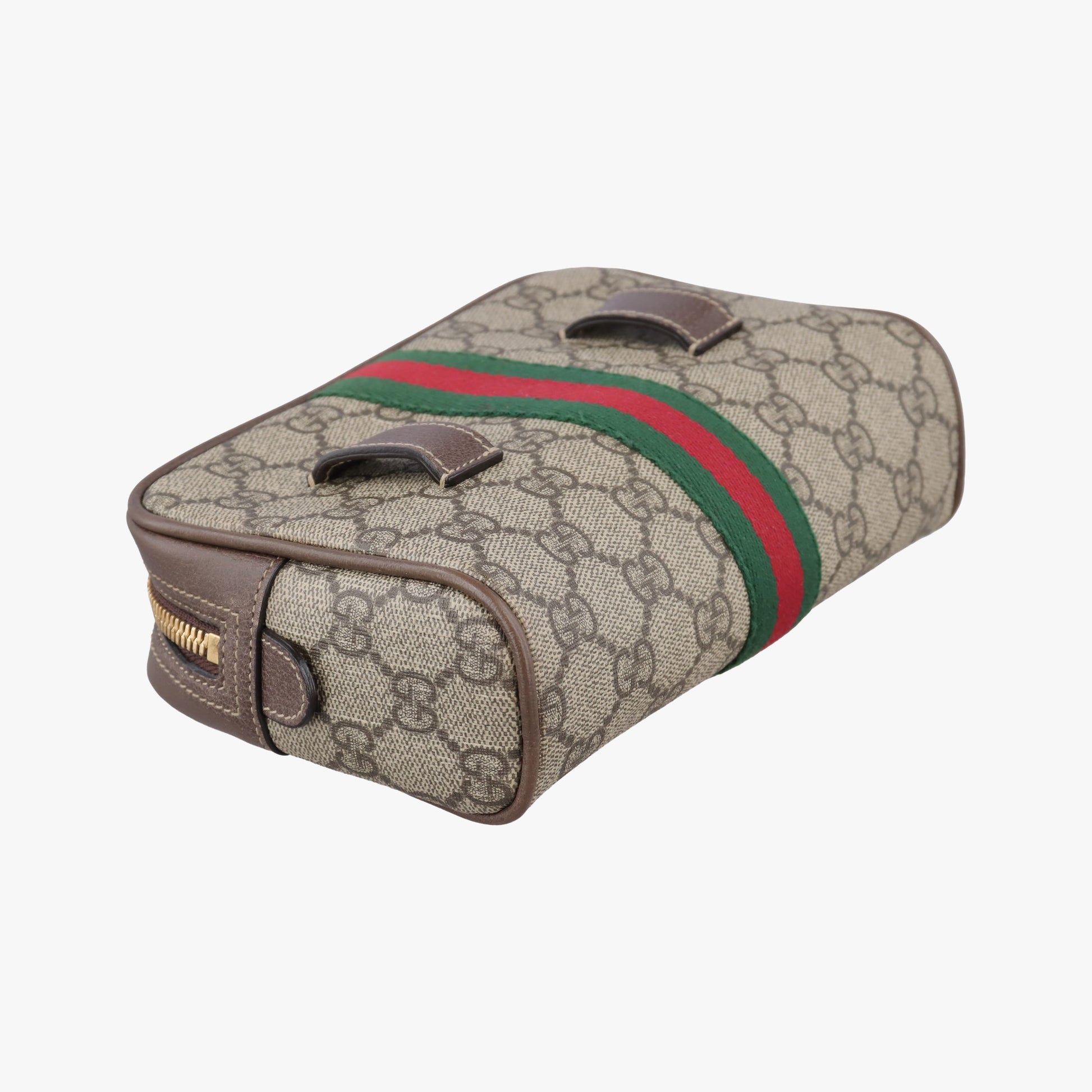 Ophidia Brown PVC coated canvas 517076 B024432970オフィディア ブラウン PVCコーティングキャンバス 517076 B024432970