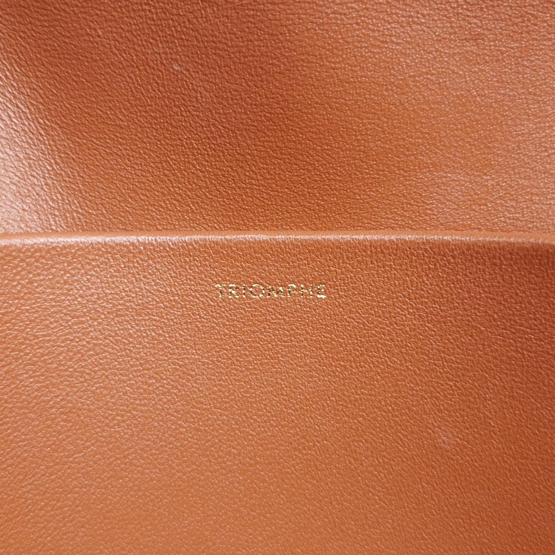 TRIOMPHE Brown PVC coated canvas F-CU-1202トリオンフ ブラウン PVCコーティングキャンバス F-CU-1202