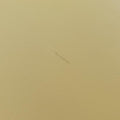 LE Carre TAUPE BOX Yellow Leather GLT633214.0121ル カレ トープボックス イエロー レザー GLT633214.0121